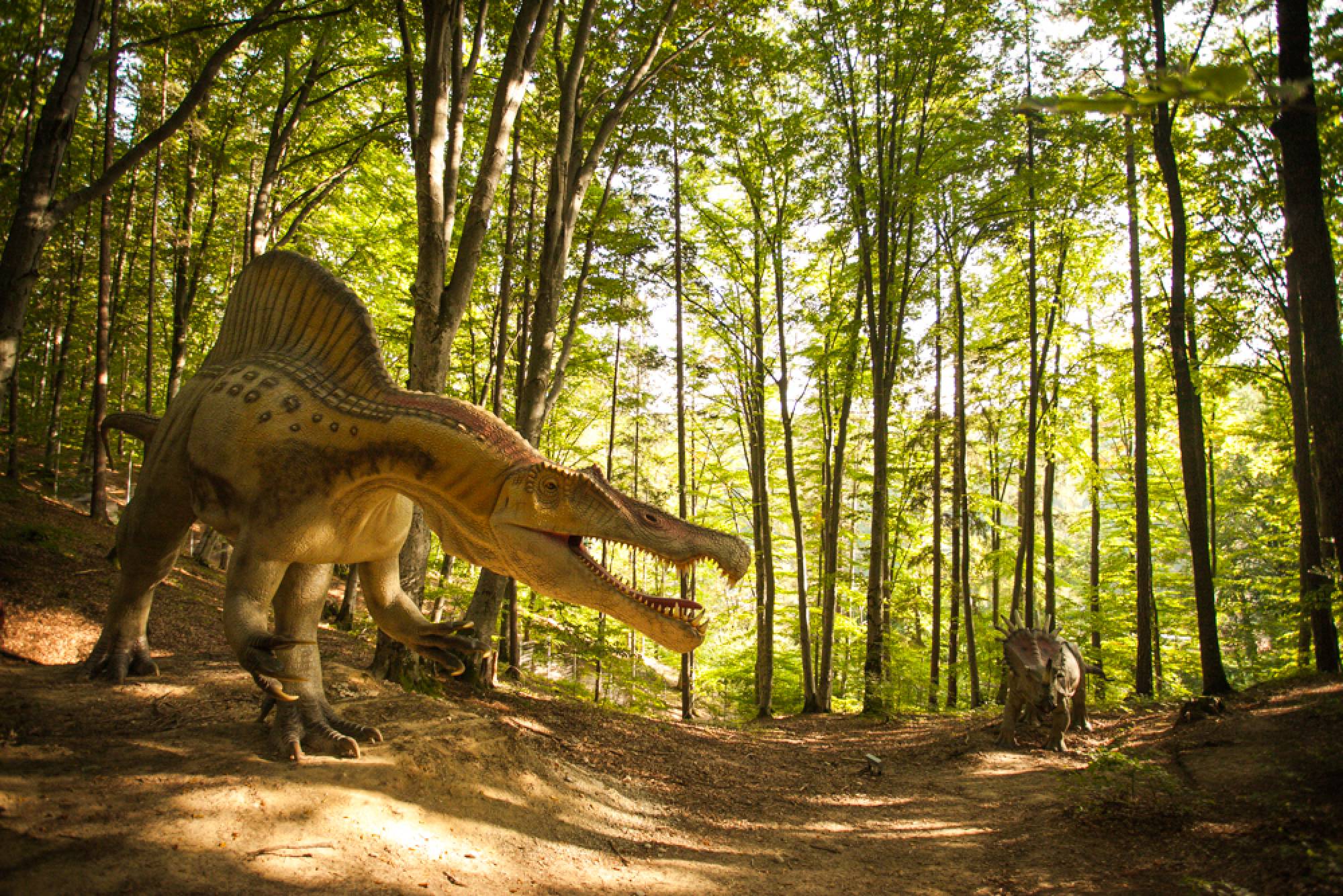 Dino Parc Râșnov