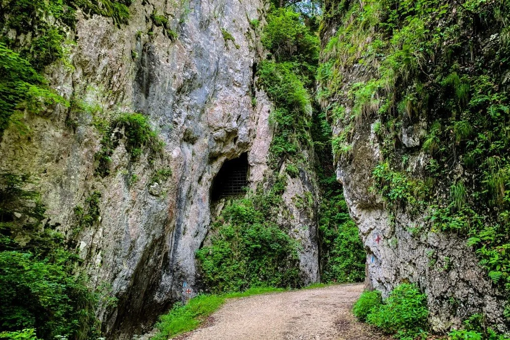 Prăpăstiile Zărneștilor