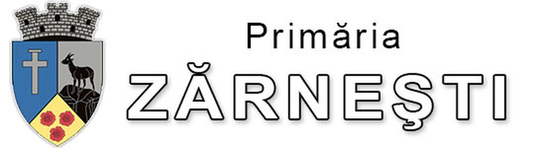 Partener principal 1
